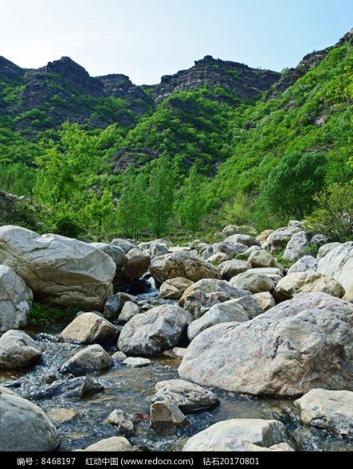 全市场：后防缺人，维罗纳可能同时租借佩莱格里诺和库姆布拉